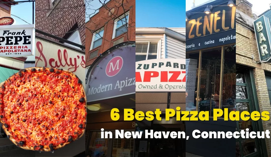 6 Best Pizza Places in New Haven, Connecticut