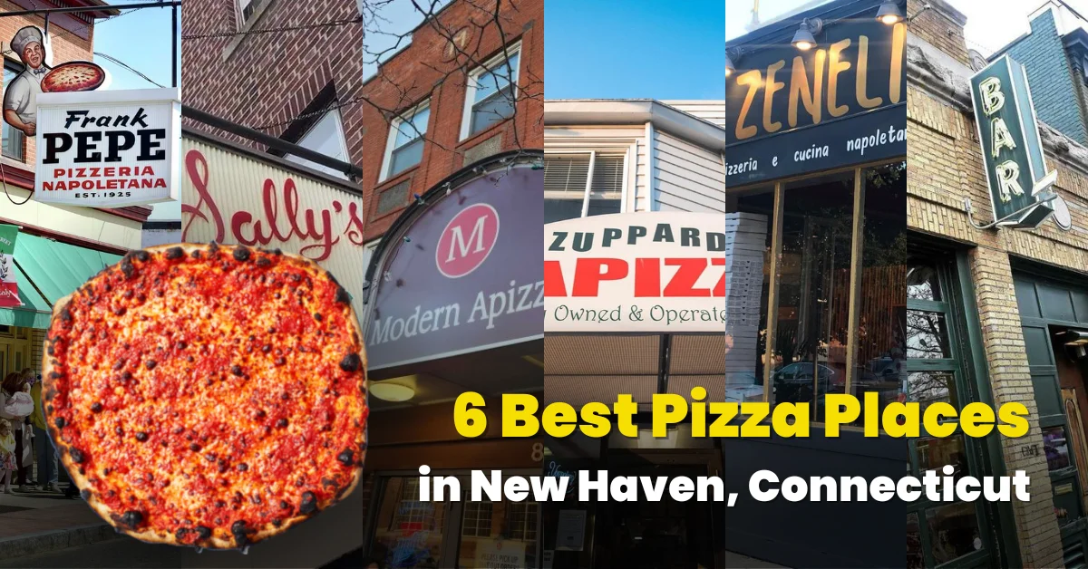 6 Best Pizza Places in New Haven, Connecticut